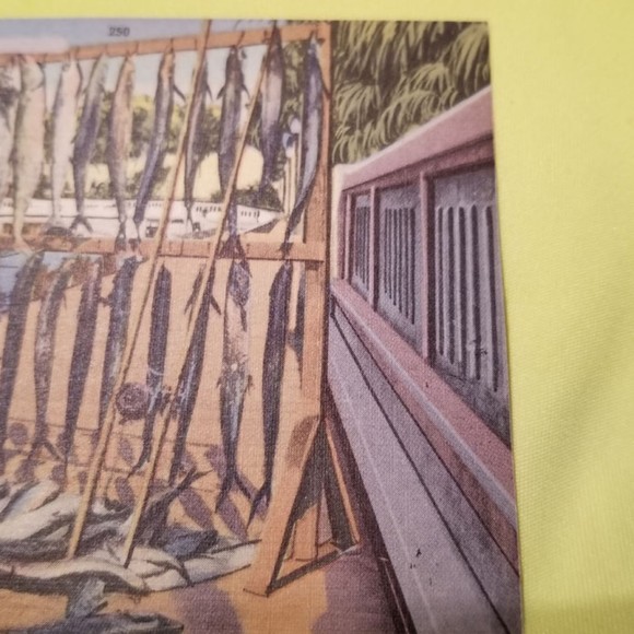 Vintage Postcard Catch of Kingfish 64855 - Picture 3 of 10